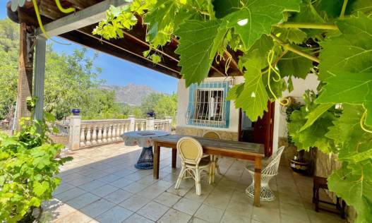 Bestaand - Finca - Jalón Valley - Jalón Vallei