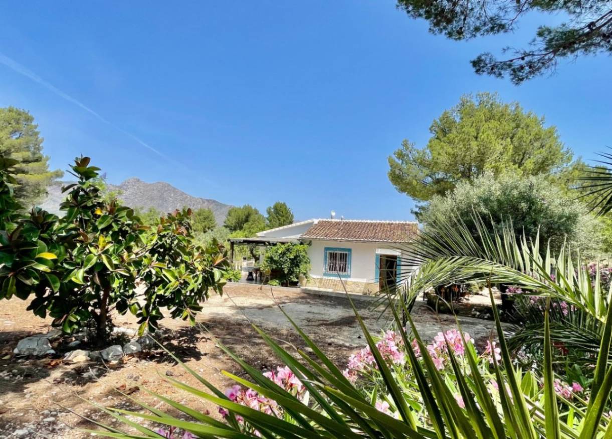 Bestaand - Finca - Jalón Valley - Jalón Vallei