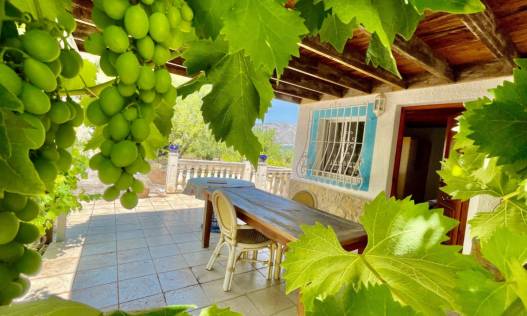 Bestaand - Finca - Jalón Valley - Jalón Vallei