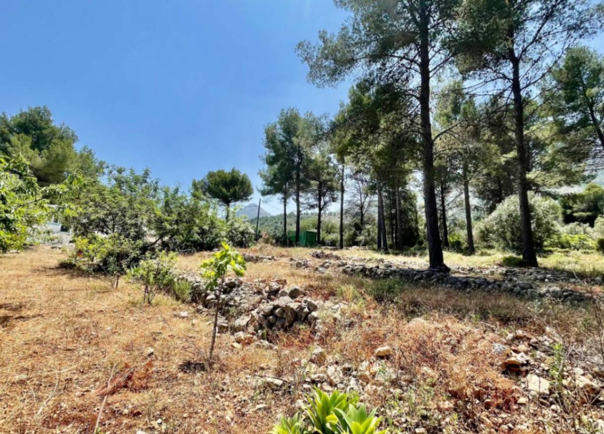 Bestaand - Finca - Jalón Valley - Jalón Vallei