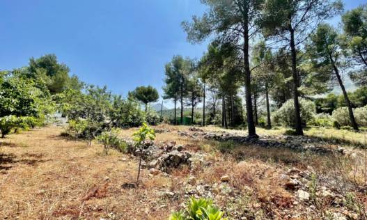 Bestaand - Finca - Jalón Valley - Jalón Vallei