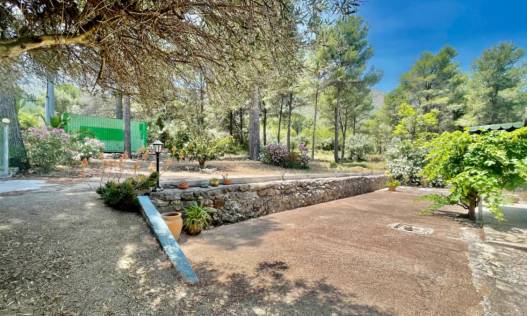 Bestaand - Finca - Jalón Valley - Jalón Vallei