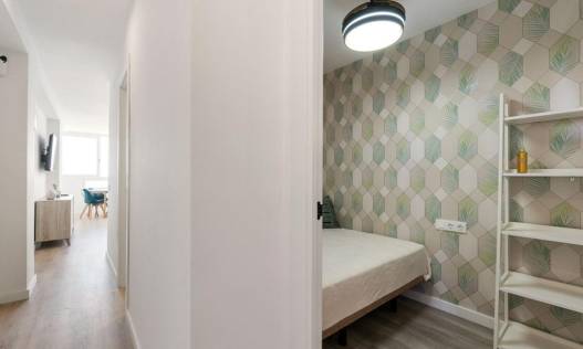 Bestaand - Appartement - Torrevieja