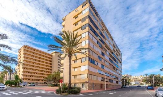 Bestaand - Appartement - Torrevieja