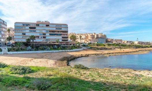 Bestaand - Appartement - Torrevieja