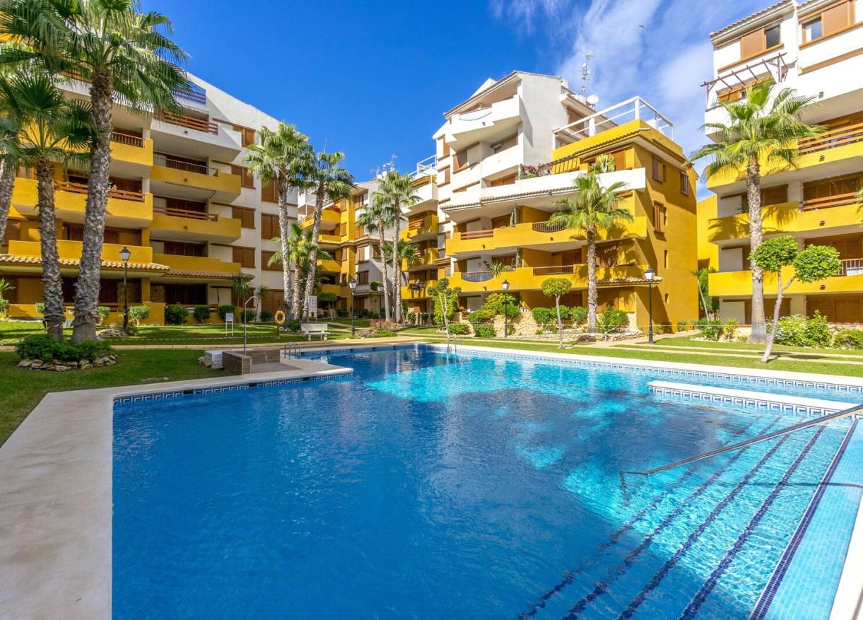 Bestaand - Appartement - Torrevieja