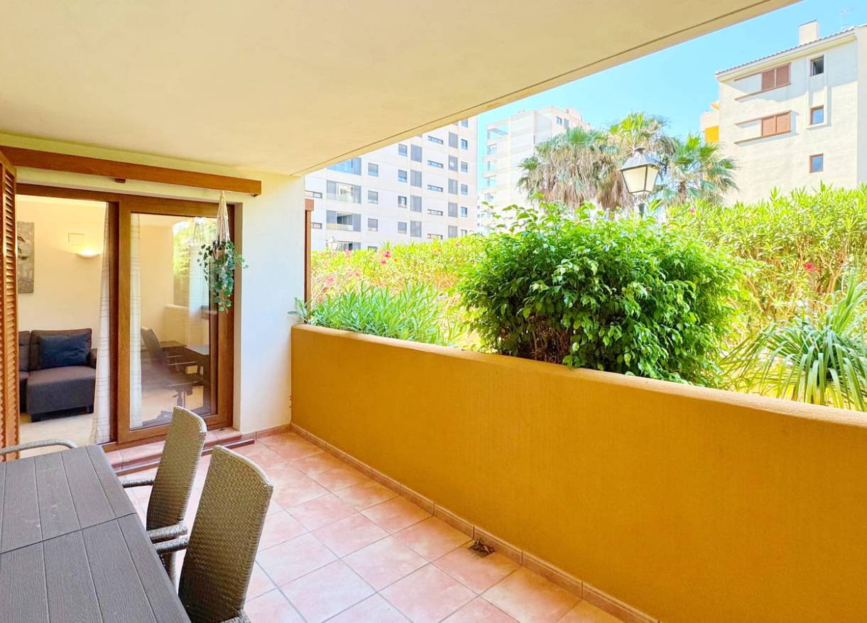 Bestaand - Appartement - Torrevieja
