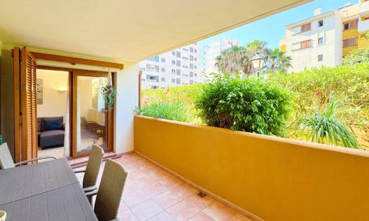 Bestaand - Appartement - Torrevieja