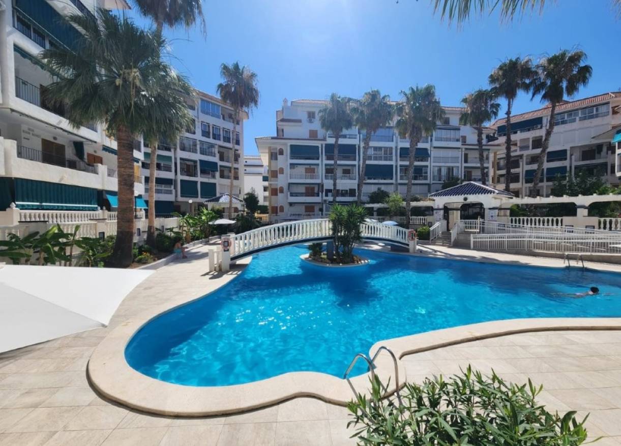 Bestaand - Appartement - La Mata - Los Europeos