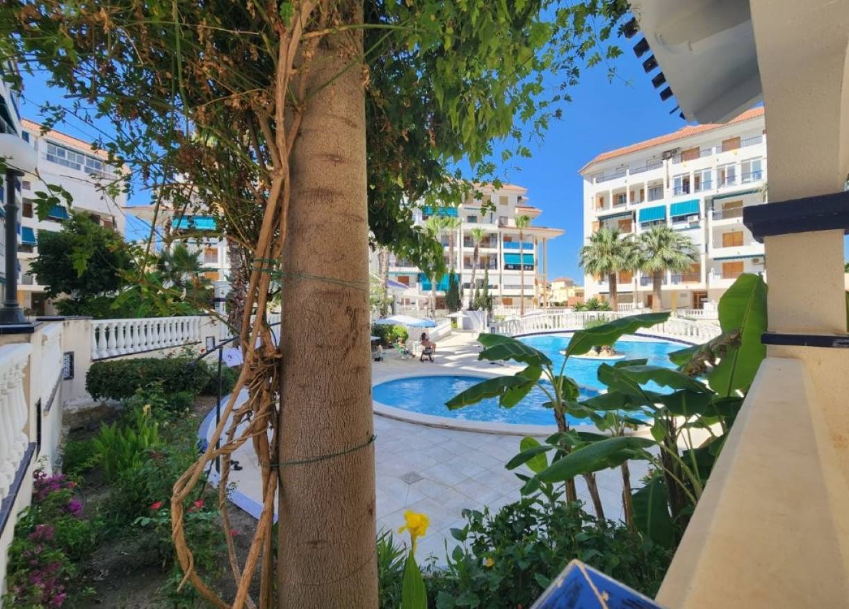 Bestaand - Appartement - La Mata - Los Europeos