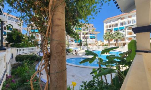 Bestaand - Appartement - La Mata - Los Europeos