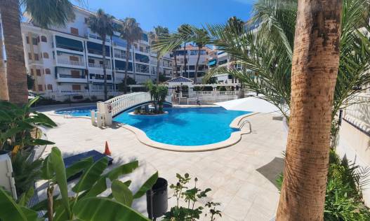 Bestaand - Appartement - La Mata - Los Europeos