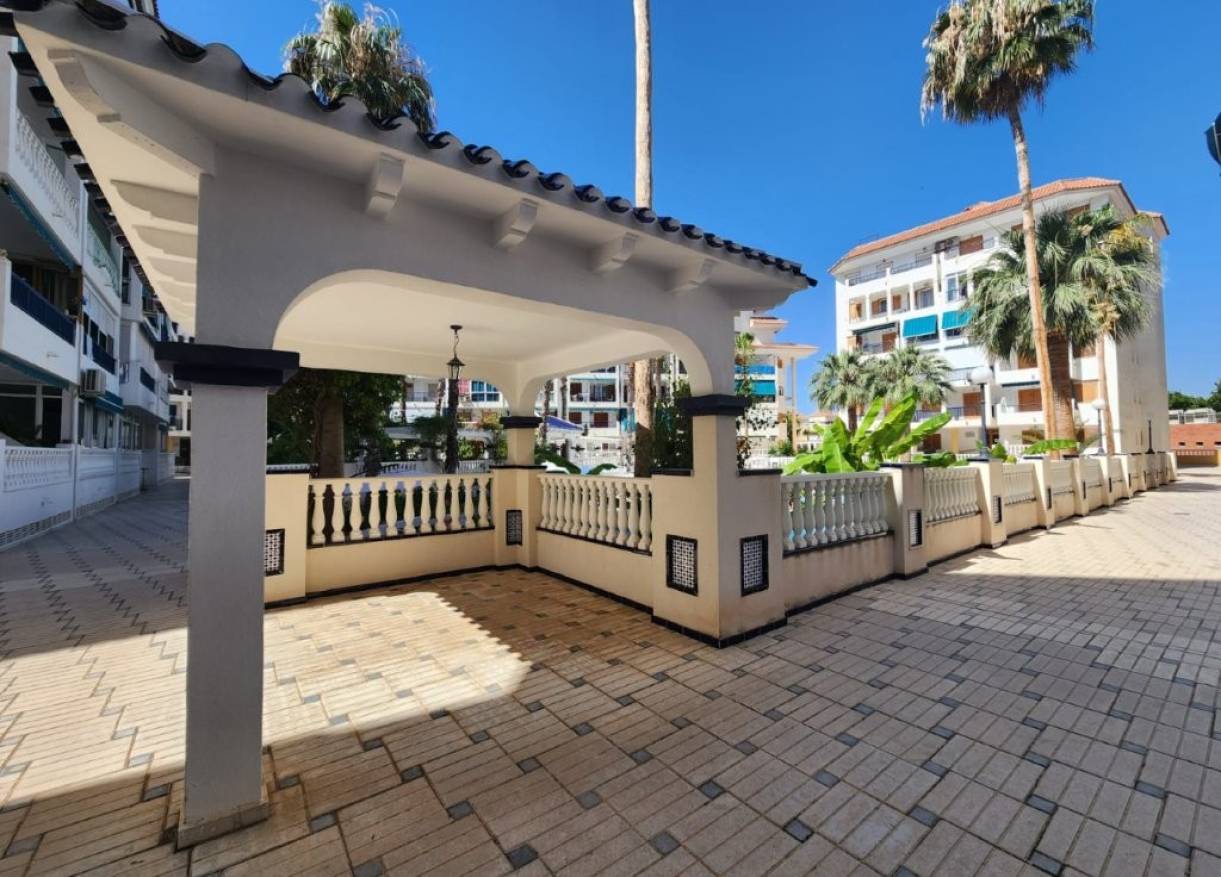 Bestaand - Appartement - La Mata - Los Europeos
