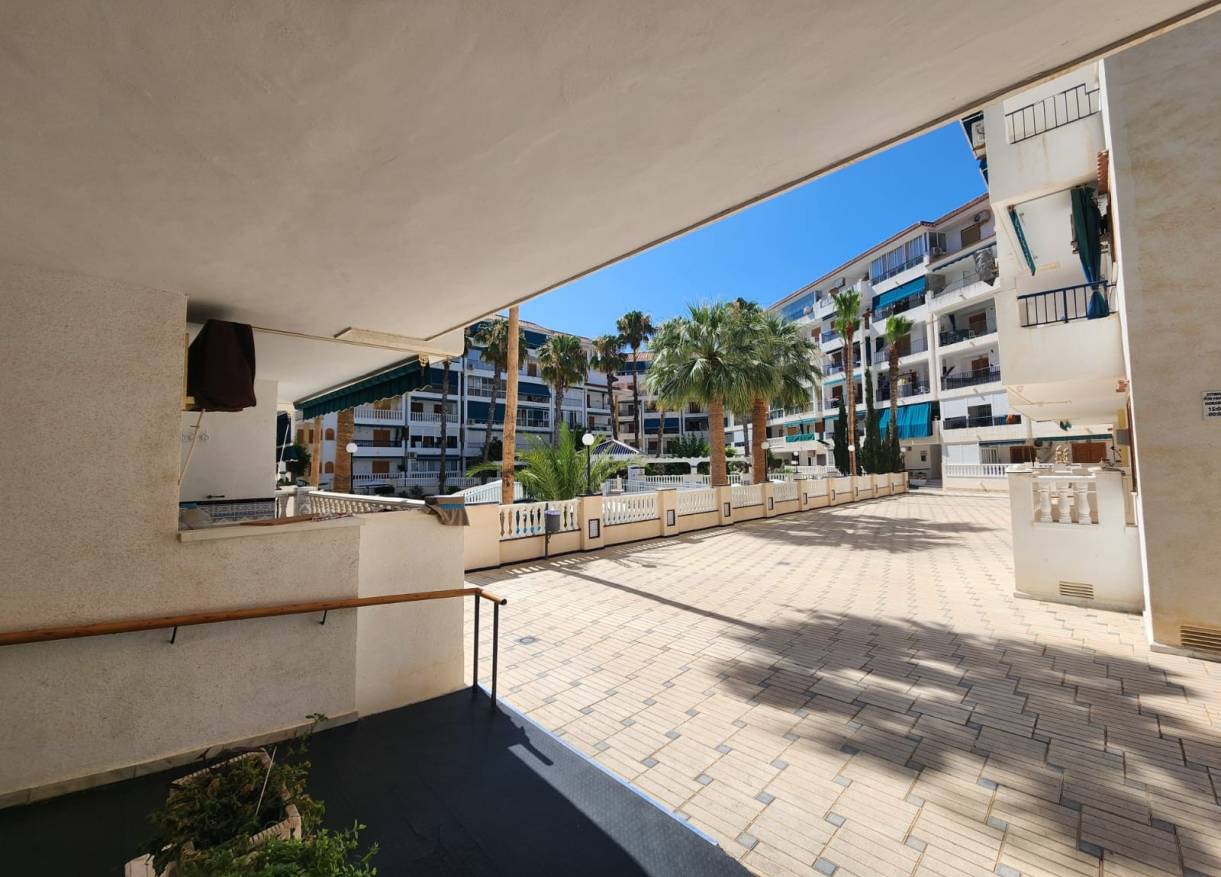 Bestaand - Appartement - La Mata - Los Europeos