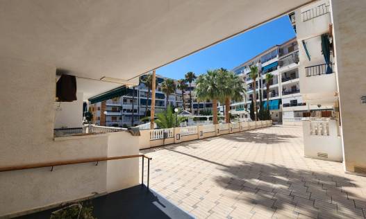 Bestaand - Appartement - La Mata - Los Europeos