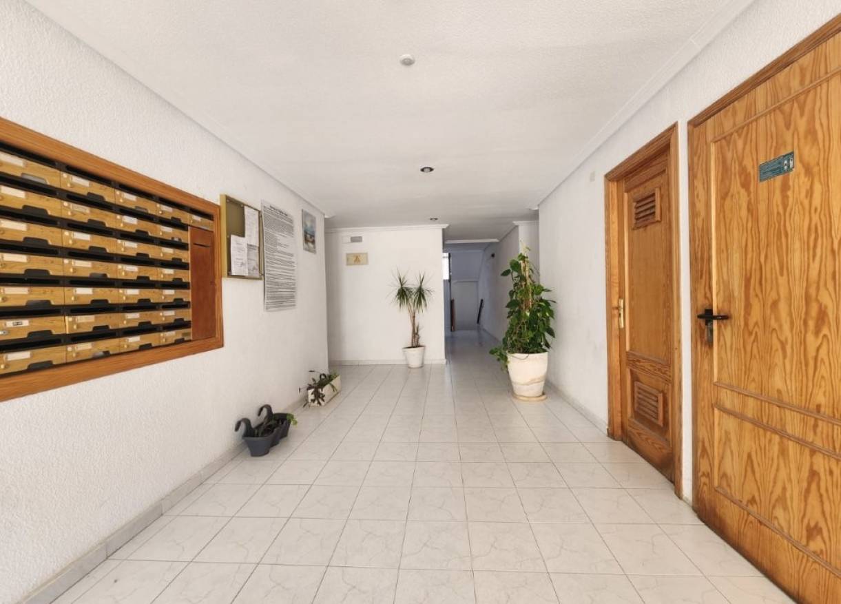 Bestaand - Appartement - La Mata - Los Europeos