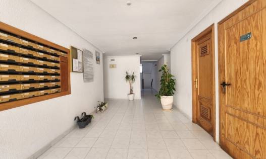 Bestaand - Appartement - La Mata - Los Europeos