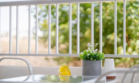Bestaand - Appartement - Orihuela Costa - Punta Prima
