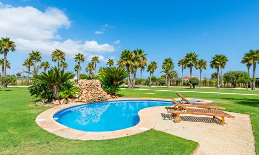 Bestaand - Villa - Elche - Elche/Elx