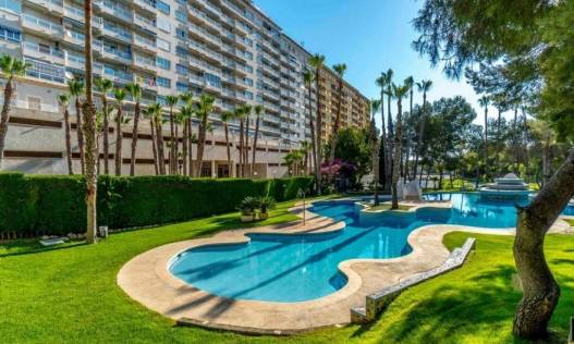 Bestaand - Appartement - Orihuela Costa - Altos de Campoamor