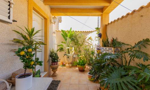 Bestaand - Casa - Torrevieja - Zona los Frutales
