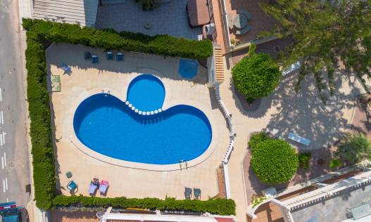 Bestaand - Casa - Torrevieja - Zona los Frutales