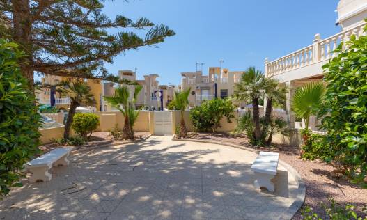 Bestaand - Casa - Torrevieja - Zona los Frutales