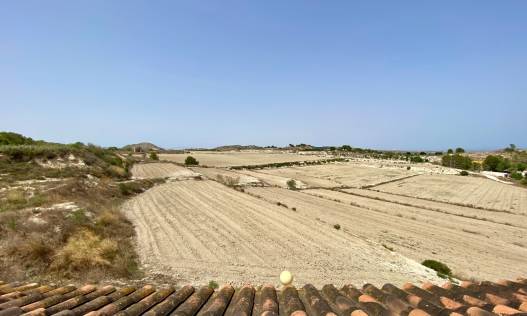 Bestaand - Villa - San Miguel de Salinas - Pueblo