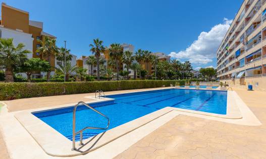 Bestaand - Appartement - Torrevieja - Rocio del Mar