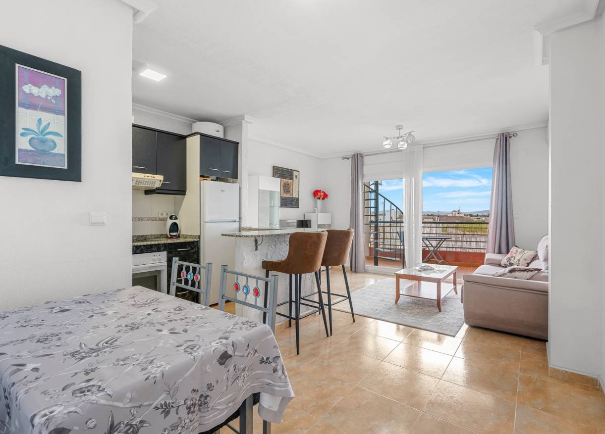 Bestaand - Penthouse - Almoradí
