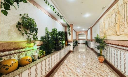 Bestaand - Appartement - La Mata