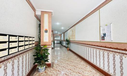 Bestaand - Appartement - La Mata