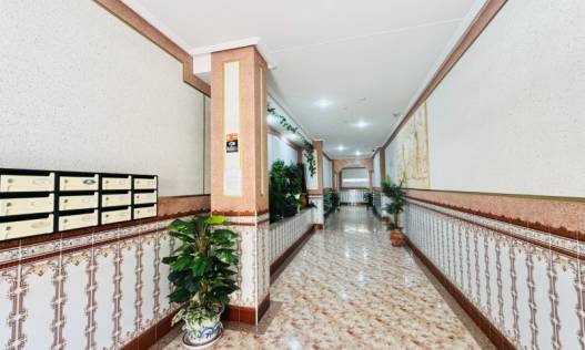 Bestaand - Appartement - La Mata