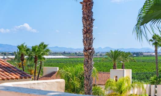 Bestaand - Appartement - San Javier - Roda Golf