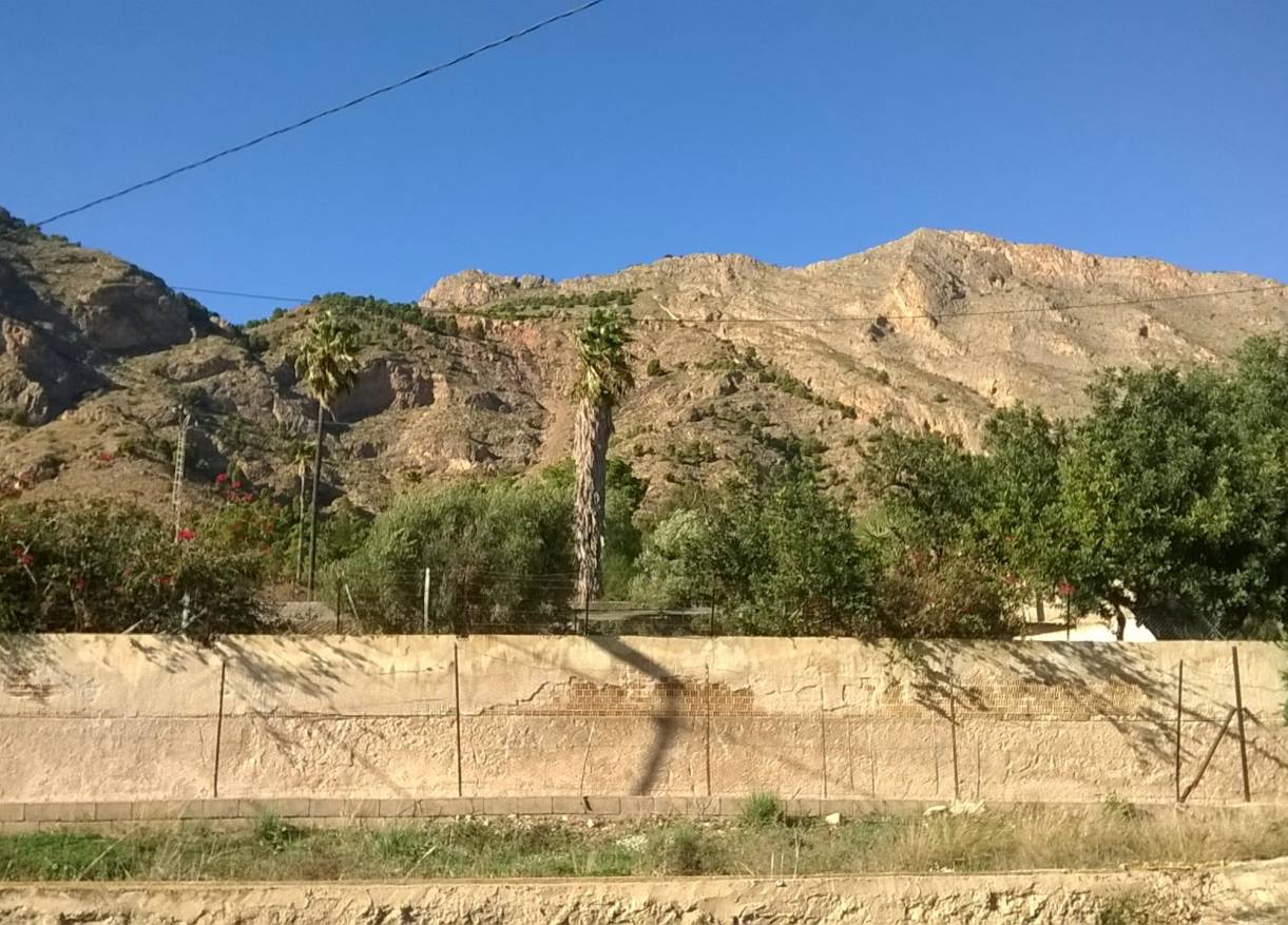 Bestaand - Finca - Orihuela Costa - Orihuela