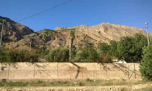 Bestaand - Finca - Orihuela Costa - Orihuela