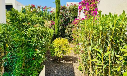Bestaand - Villa - Algorfa - La Finca Golf