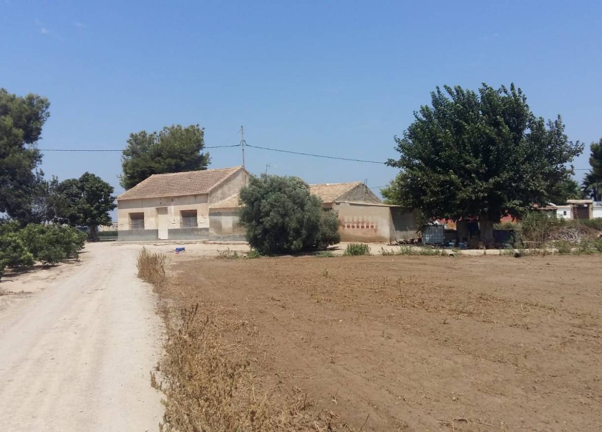 Bestaand - Finca - Daya Nueva