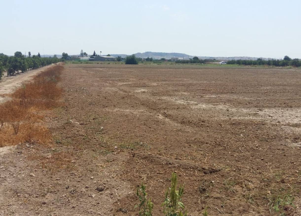 Bestaand - Finca - Daya Nueva