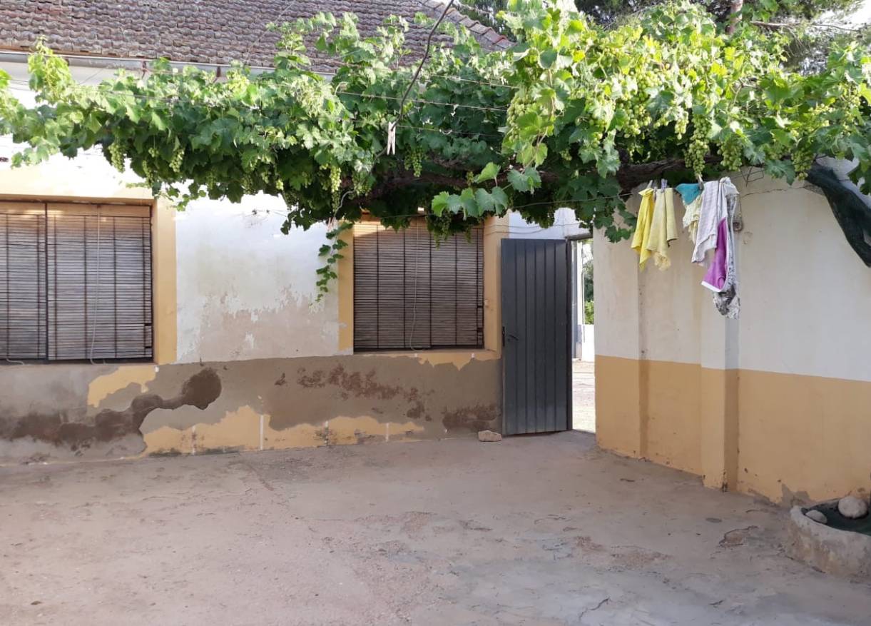 Bestaand - Finca - Daya Nueva