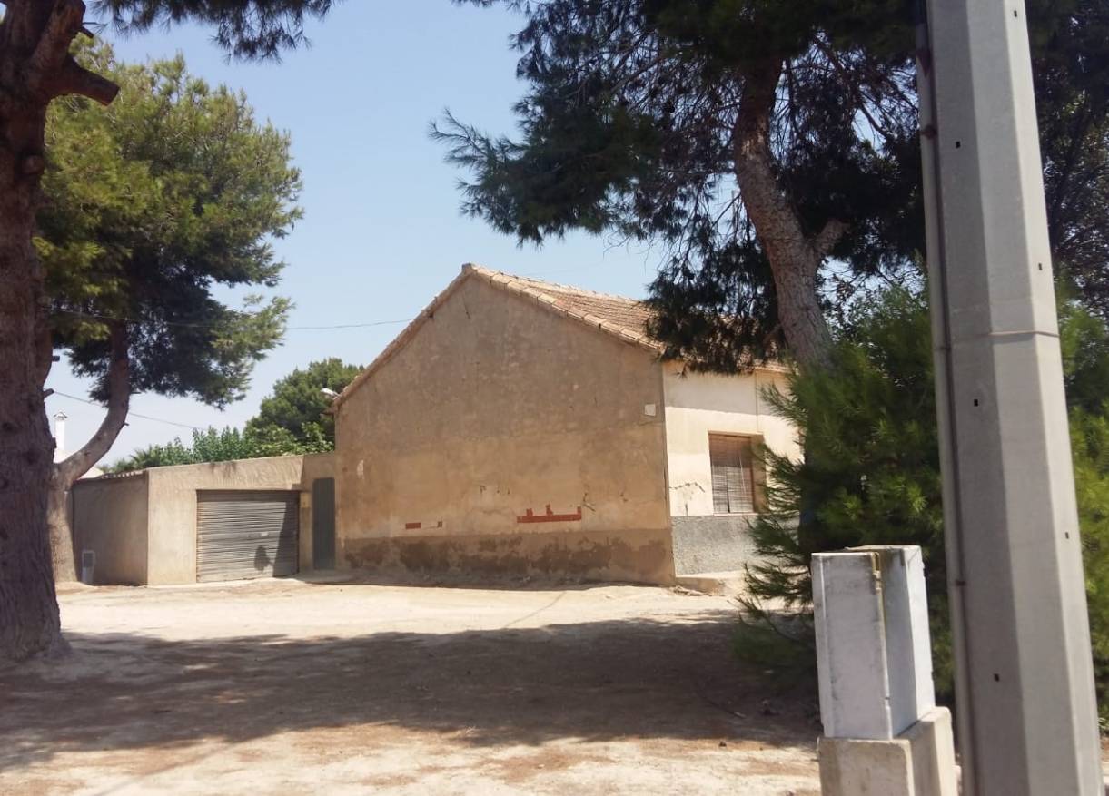 Bestaand - Finca - Daya Nueva