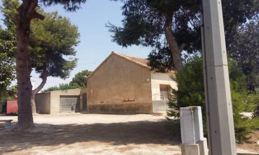 Bestaand - Finca - Daya Nueva