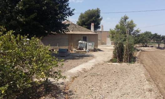 Bestaand - Finca - Daya Nueva
