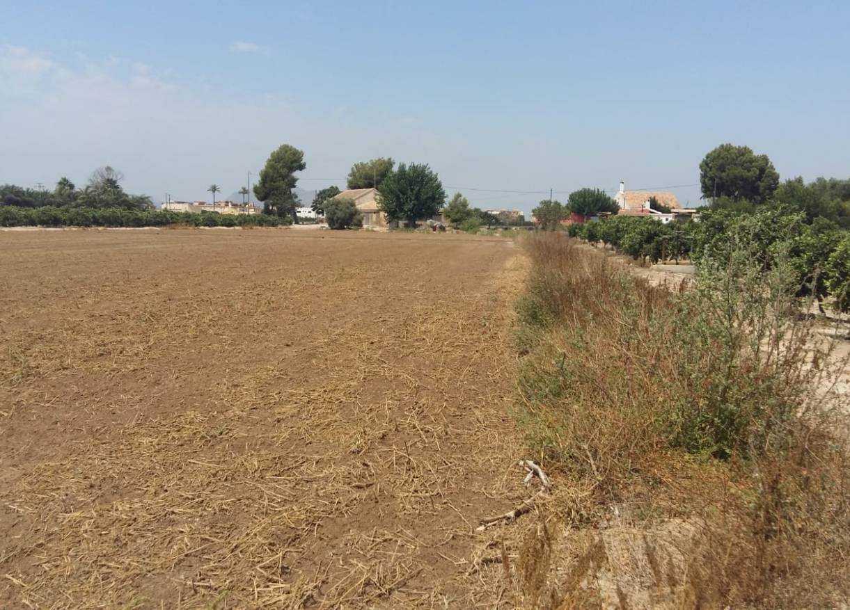 Bestaand - Finca - Daya Nueva