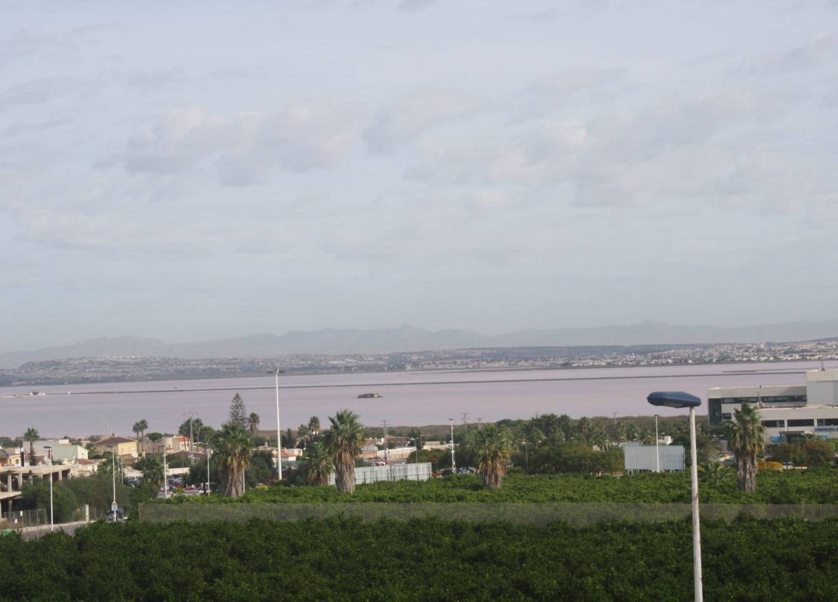Bestaand - Chalet Adosados - Torrevieja