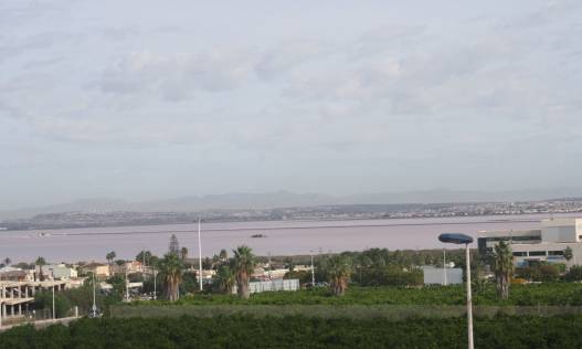 Bestaand - Chalet Adosados - Torrevieja