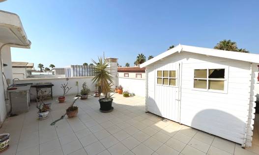 Bestaand - Townhouse / Semi-detached - Ciudad Quesada - Doña Pepa