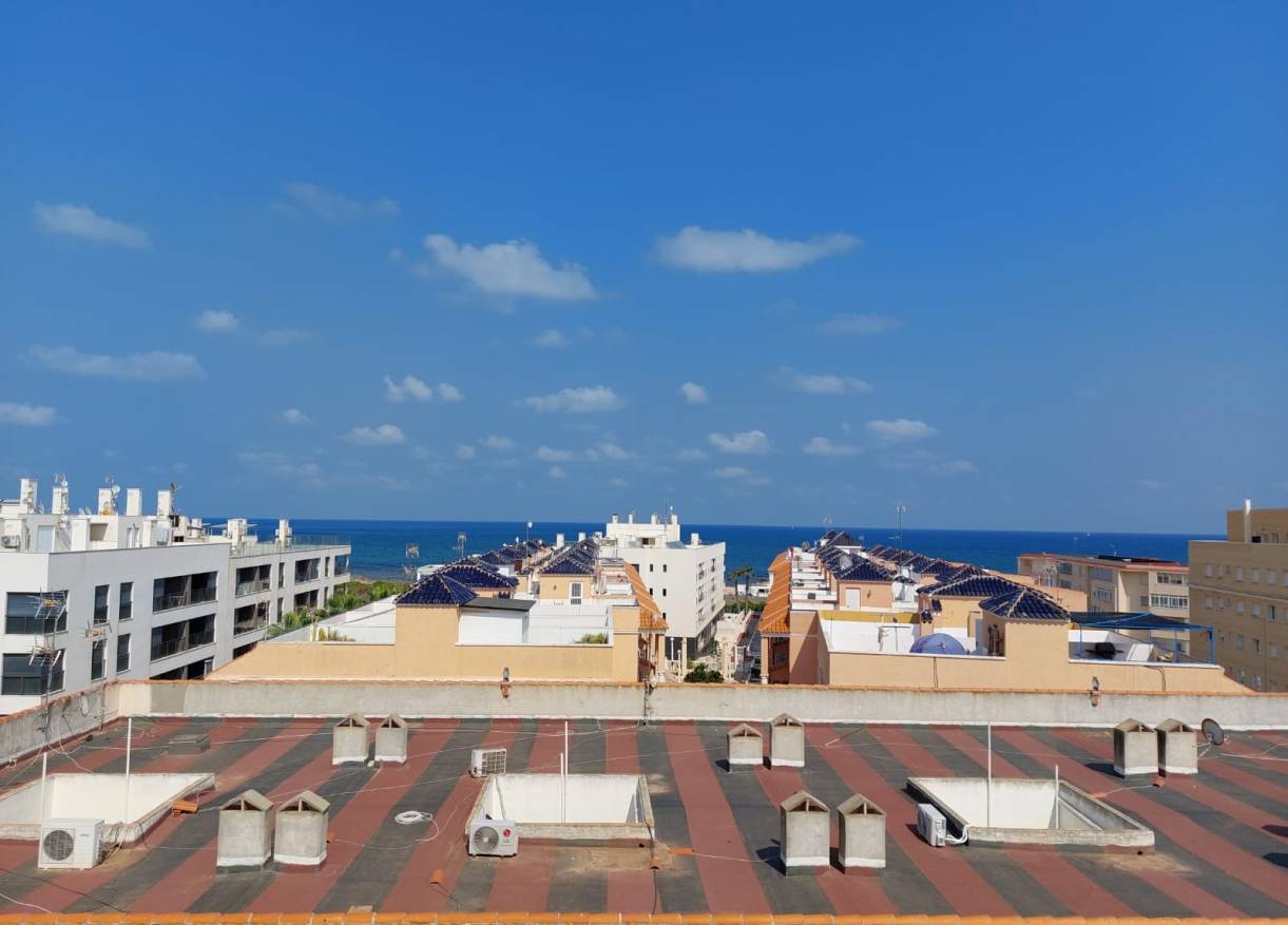 Bestaand - Appartement - La Mata - Puerto Romano