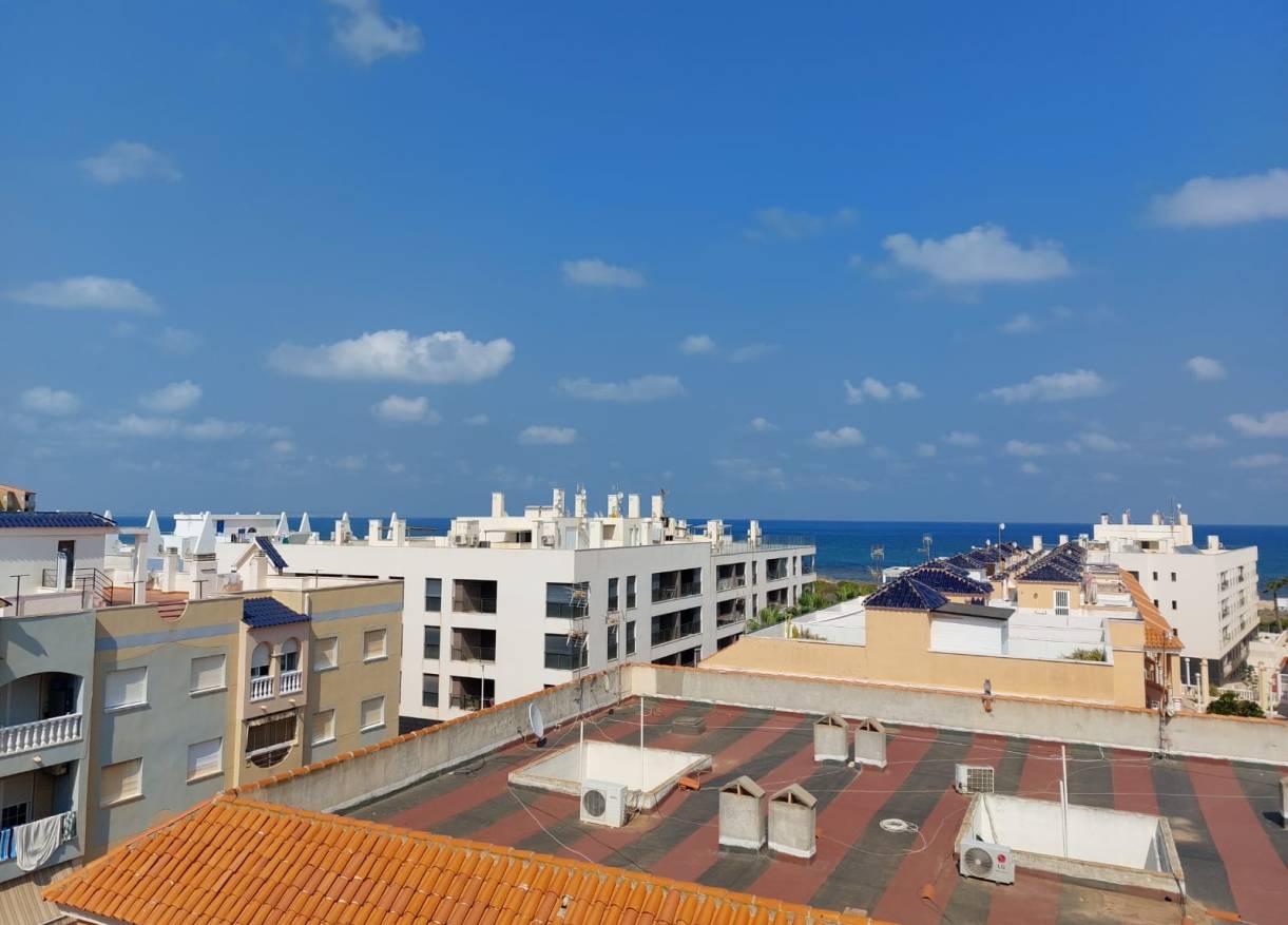 Bestaand - Appartement - La Mata - Puerto Romano