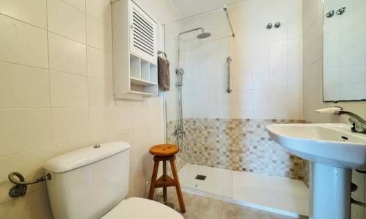 Bestaand - Appartement - La Mata - Puerto Romano